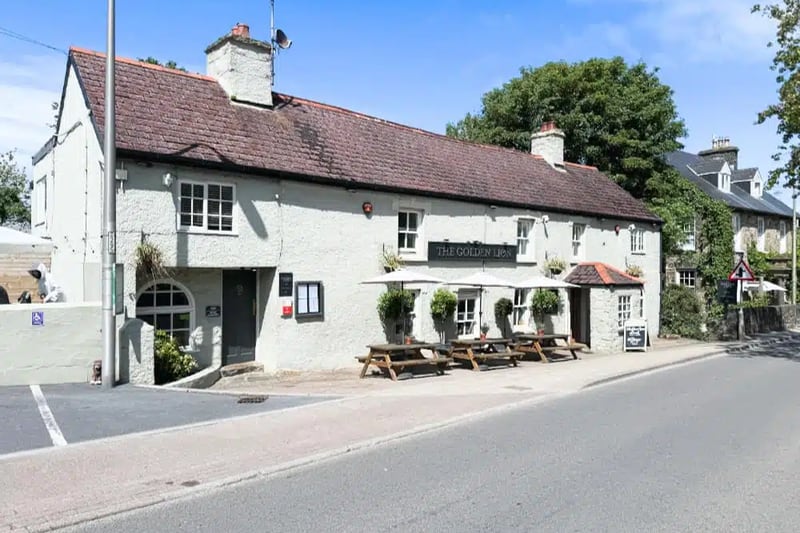 The Golden Lion : Review