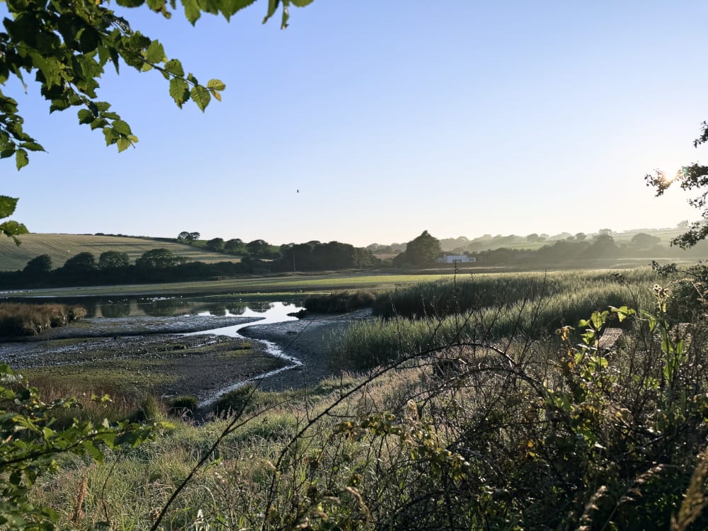 The estuary at Newport at dawn