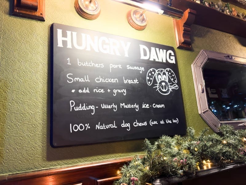 Castle Inn Newport Pembs Dog Friendly