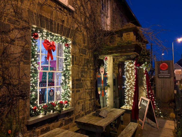 Llys Meddyg Newport Christmas