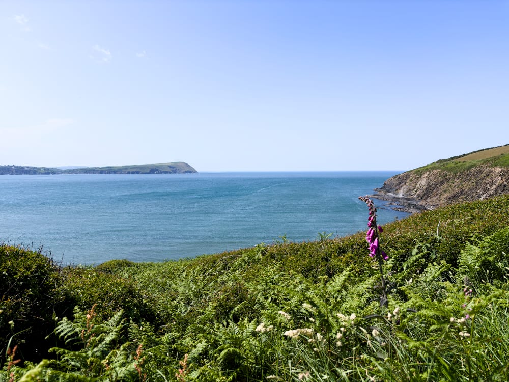 Morfa Head walk