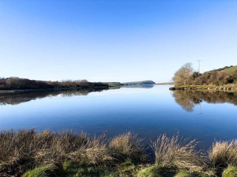 Nevern estuary Christmas