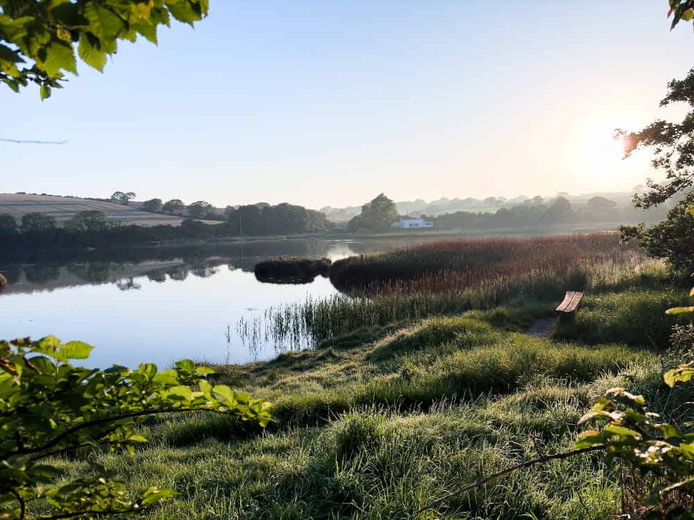 Nevern Estuary morning walk