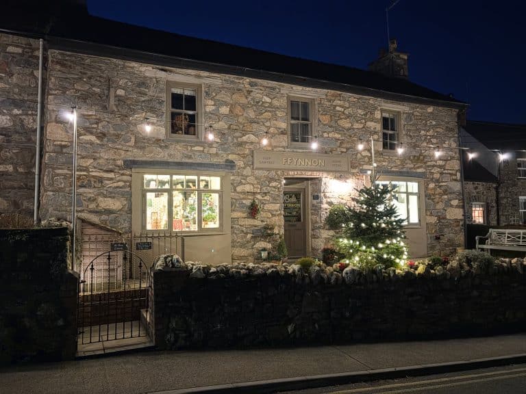 Newport Christmas Ffynnon