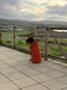 Newport Pembrokeshire Autumn 10