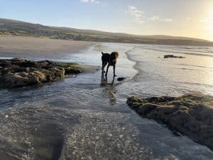 Newport Pembrokeshire Autumn 11