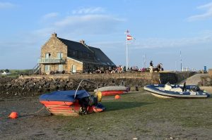 What’s On in Newport, Pembrokeshire This Summer?