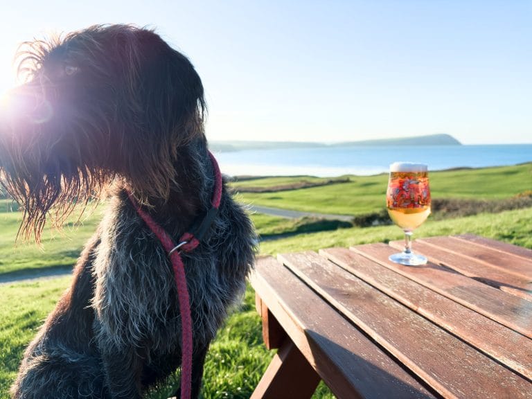 Peggy Christmas beer