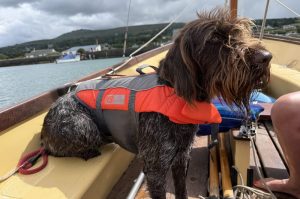 Sailing in Newport, Pembrokeshire