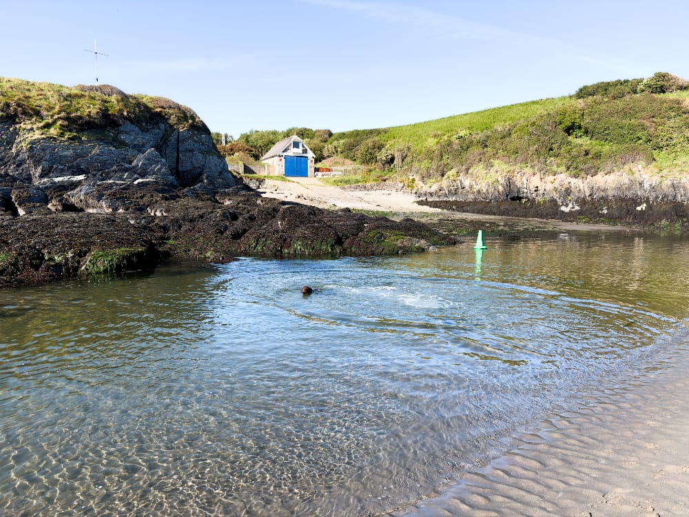 Peggy swimming