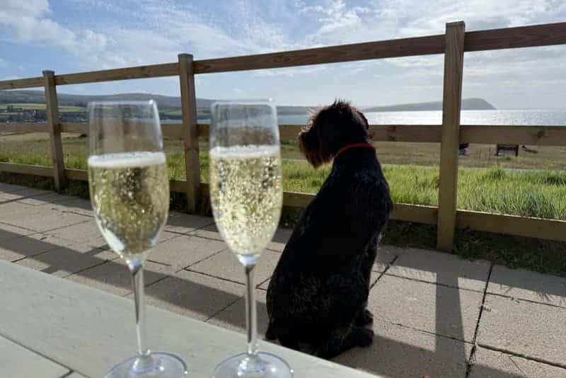 Pembrokeshire vs Cornwall: the staycation shoot out