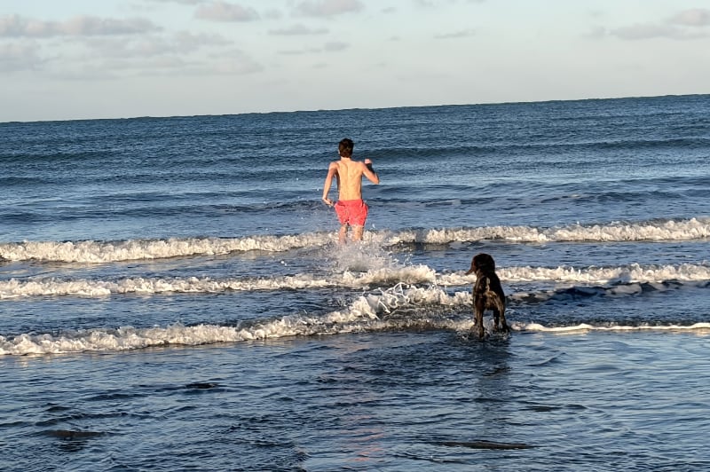 Wild Swimming in Pembrokeshire: The Beaches & Coves Near Newport